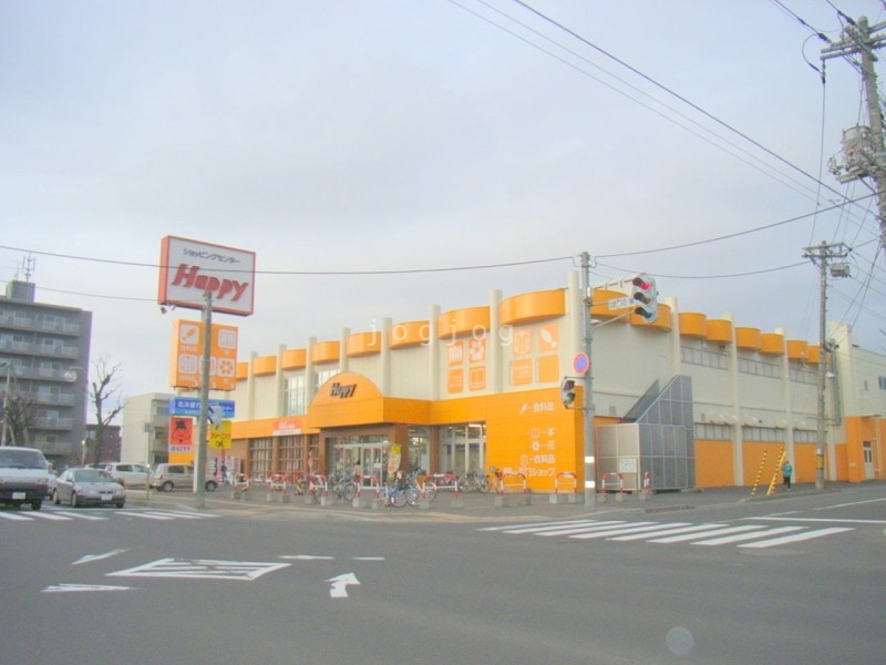 スーパー　スーパーエース30条店（スーパー）まで447m
