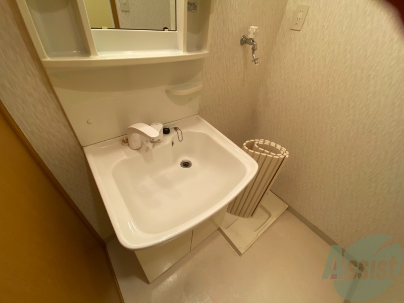 洗面設備　シャワーノズル付きの洗面台は、きれいで広くて使い易いです。