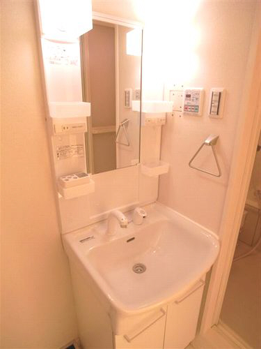 洗面設備　独立洗面所。身支度に重宝するシャンプードレッサー有ります。