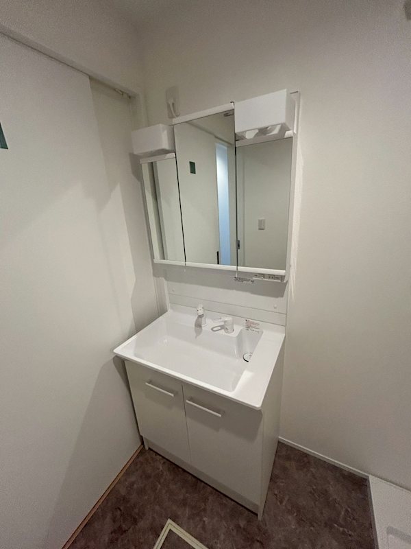 洗面設備　シャワー付き洗面化粧台