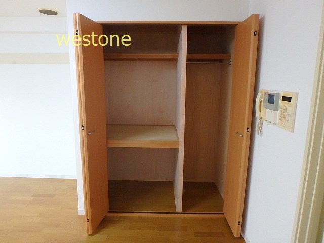 収納　大きいクローゼット