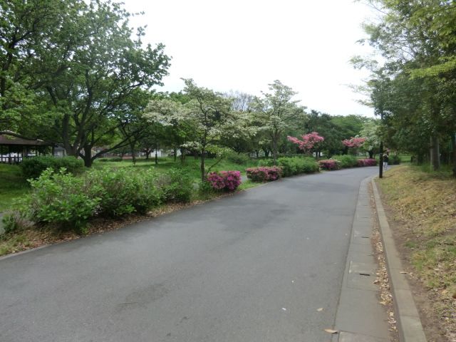 公園　中川公園（公園）まで210m
