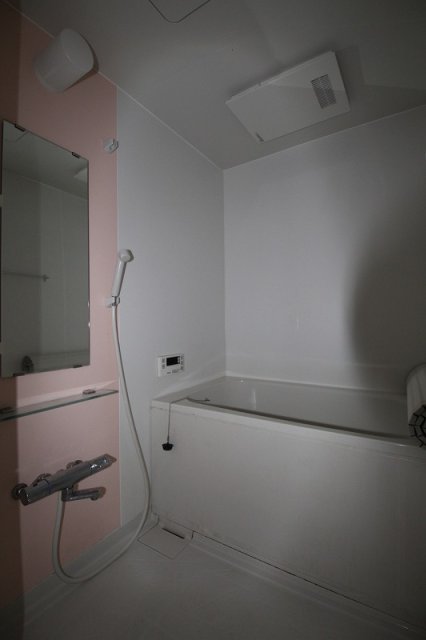 バス・シャワールーム　同物件別号室の写真です。