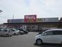 ドラックストア　ウォンツ西条西店（ドラッグストア）まで1300m