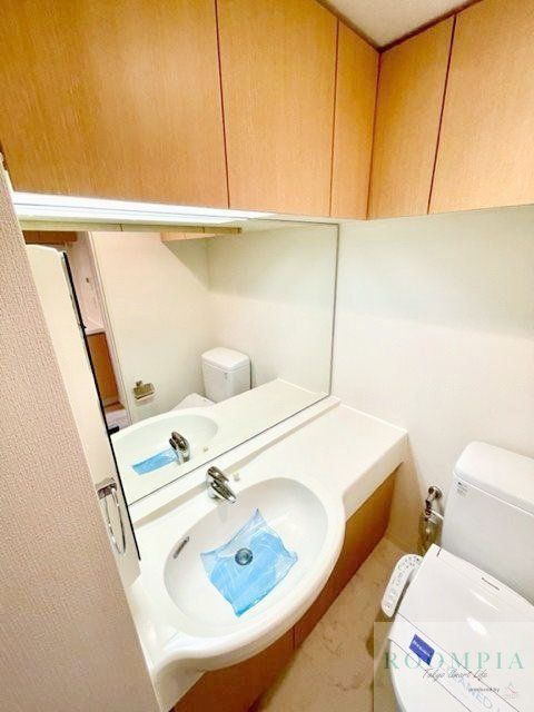 洗面設備　※同タイプの別のお部屋です。