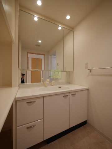 洗面設備　内装写真　別間取り参考写真