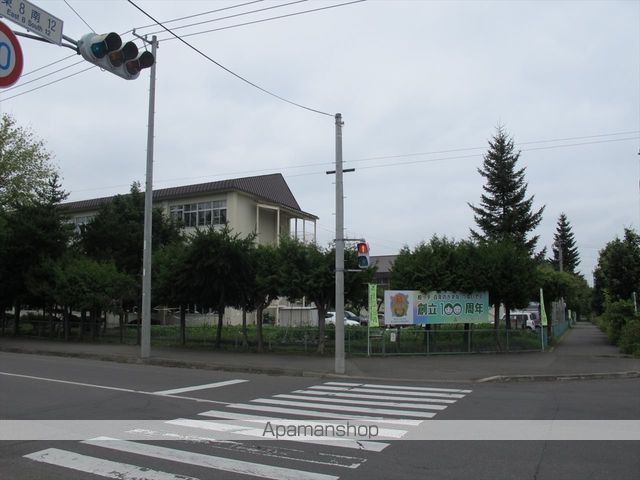 小学校　柏小学校（小学校）まで617m