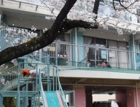 幼稚園・保育園　光の園保育学校（幼稚園・保育園）まで135m