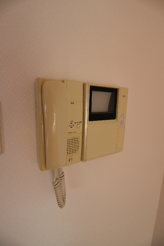 セキュリティ　反転タイプになります。