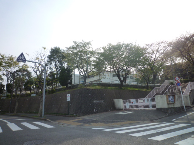 小学校　町田市立南つくし野小学校（小学校）まで612m