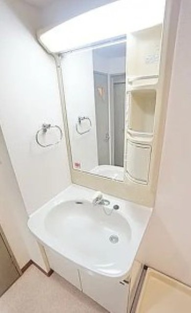 洗面設備　別部屋同仕様タイプ