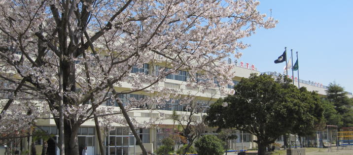 小学校　木更津市立高柳小学校（小学校）まで751m