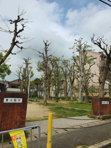 東石切町2丁目貸家の周辺写真