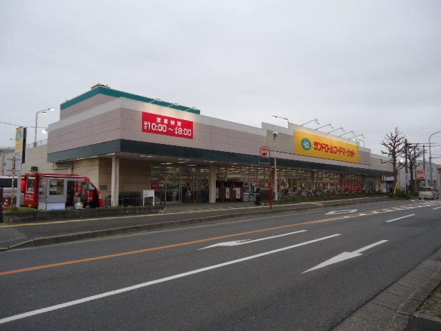 その他　ランドロームフードマーケット都賀店（その他）まで1251m