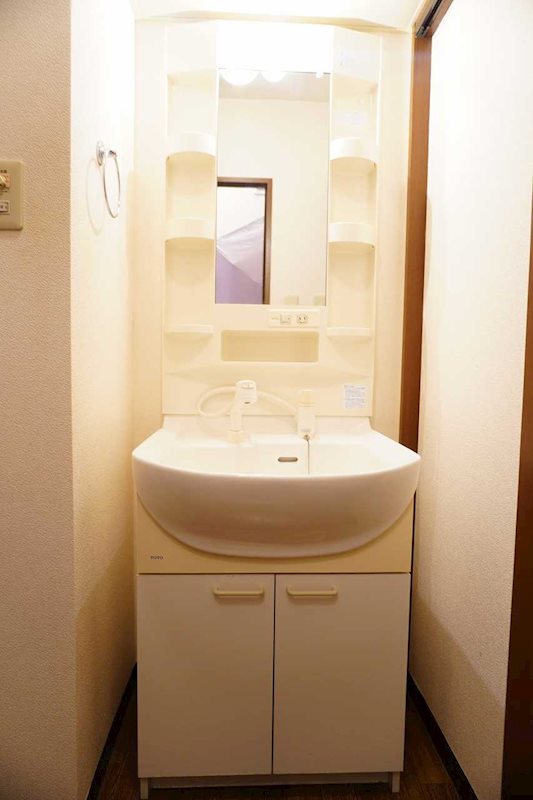 洗面設備　お掃除にも便利なシャワードレッサー