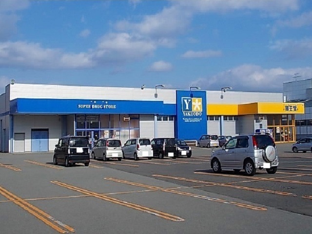 ドラックストア　薬王堂　秋田土崎店（ドラッグストア）まで1100m