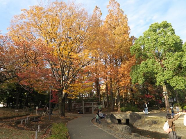 公園　蚕糸の森公園（公園）まで1025m