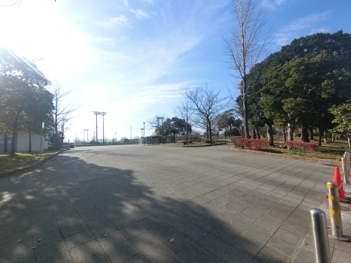 公園　八幡公園（公園）まで1116m