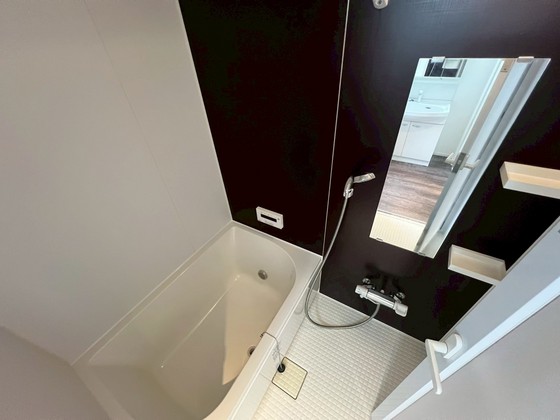 バス・シャワールーム　※別部屋の写真です