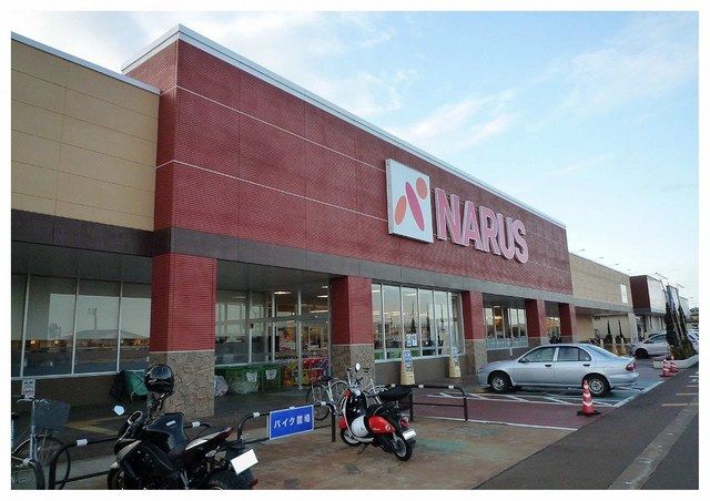 スーパー　ナルス南高田店（スーパー）まで3000m
