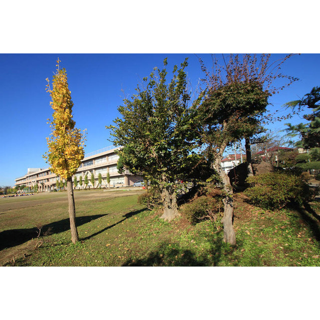 小学校　阿見町立阿見第一小学校（小学校）まで1150m