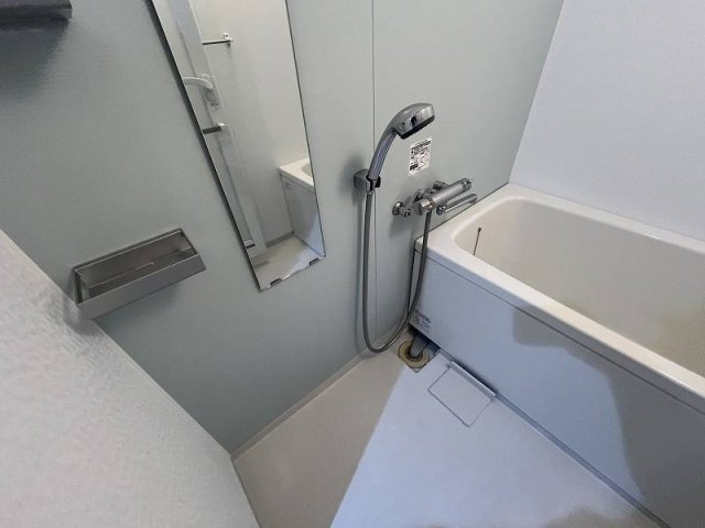 バス・シャワールーム　落ち着いた空間のお風呂です