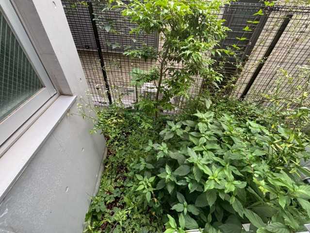 バルコニー　別部屋参考写真
