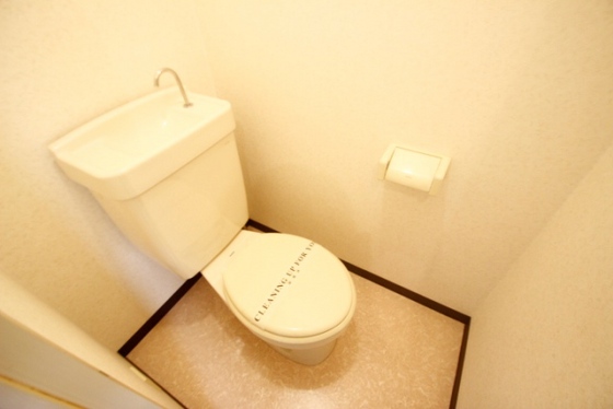 トイレ　※他号室の写真です。