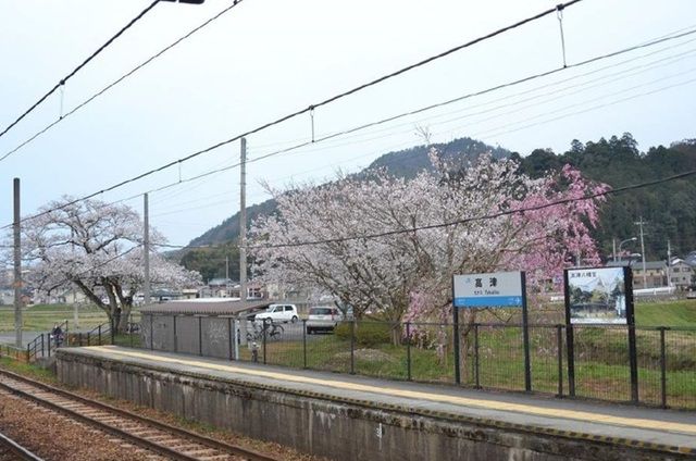その他　高津駅（その他）まで1200m