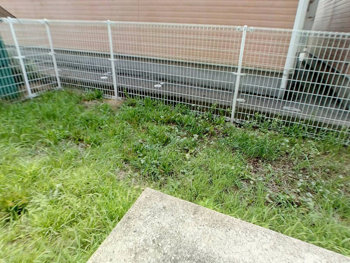 庭