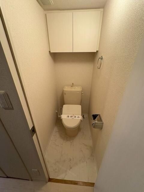 LaSante川崎のトイレ写真