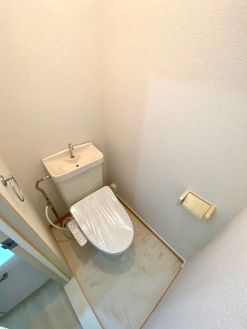 ＪＲ総武本線 東千葉駅 徒歩24分 2階建 築37年のトイレ写真