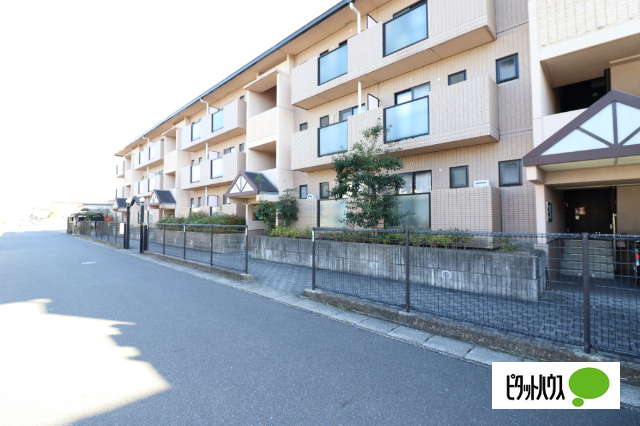 【近江八幡市鷹飼町北のマンションのエントランス】