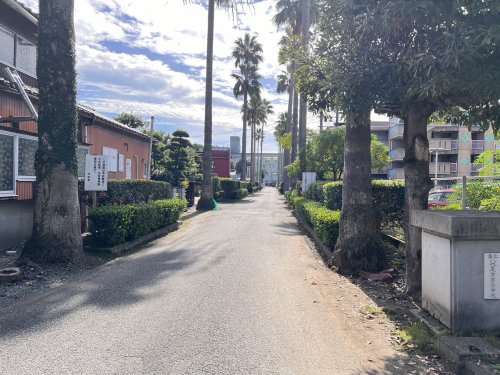 高校・高専　熊本県立八代農業高等学校（高校・高専）まで1758m