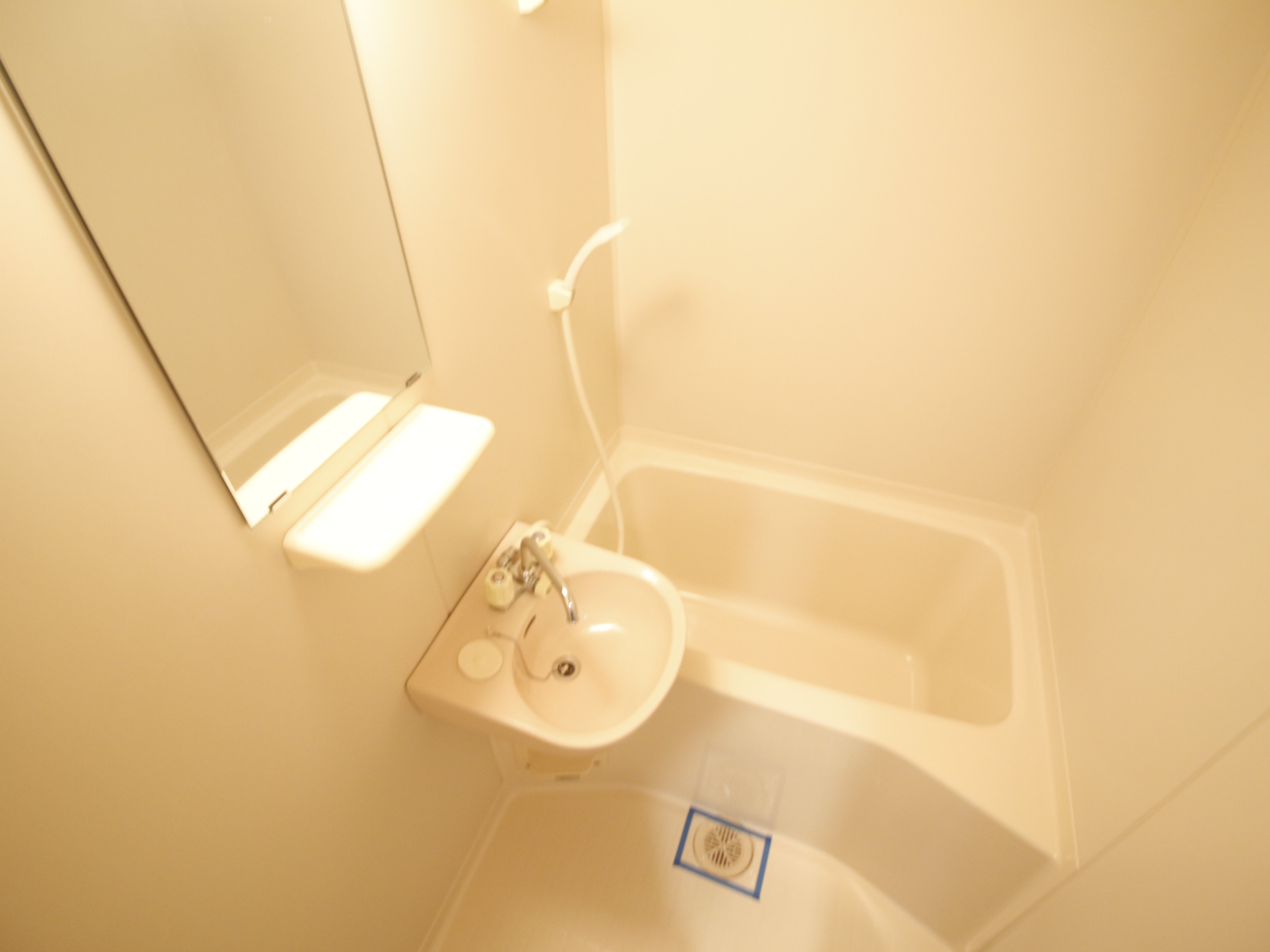 バス・シャワールーム　※別の同タイプのお部屋になります。