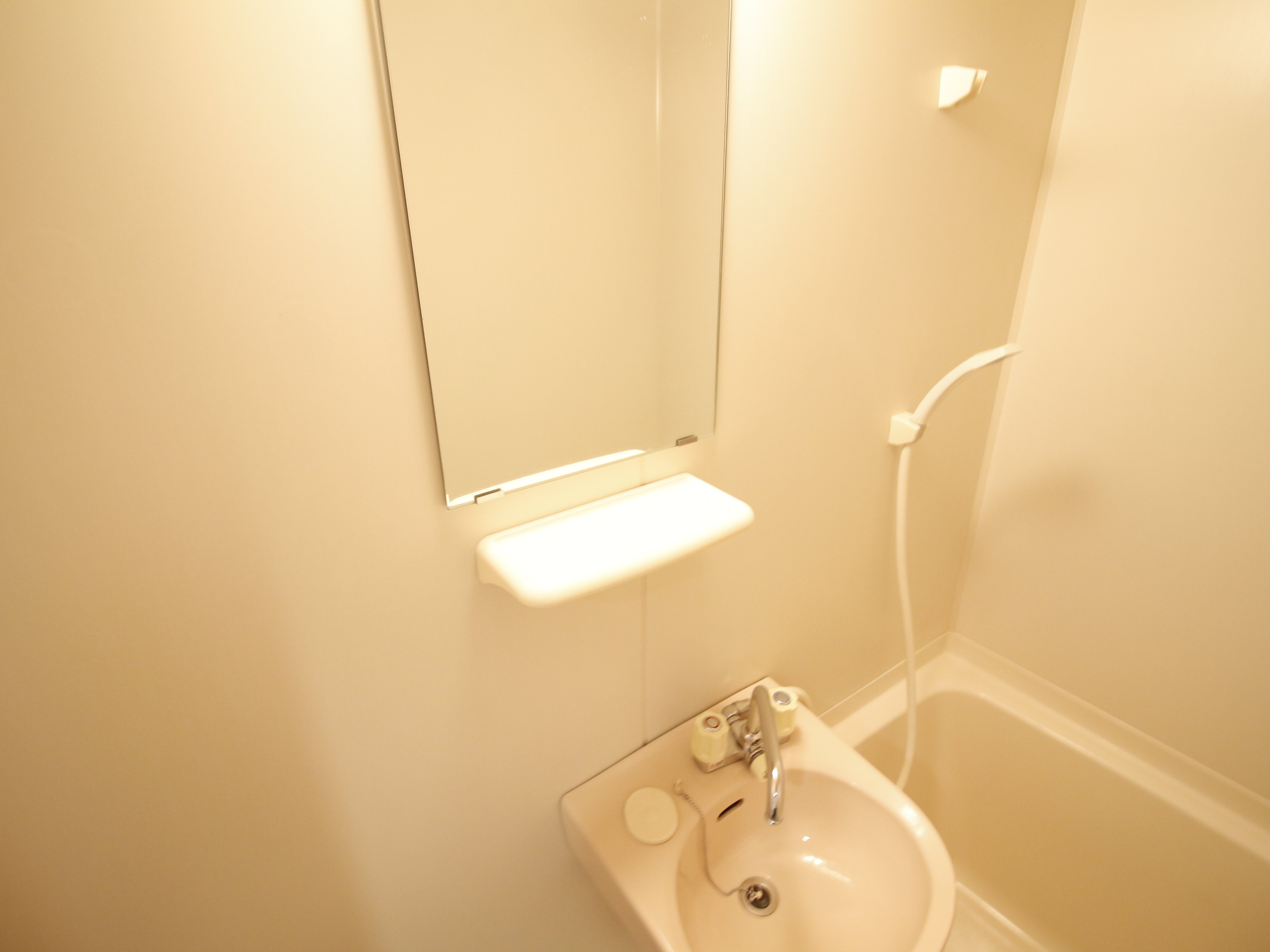 洗面設備　※別の同タイプのお部屋になります。