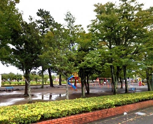 公園　石津中央公園（公園）まで903m