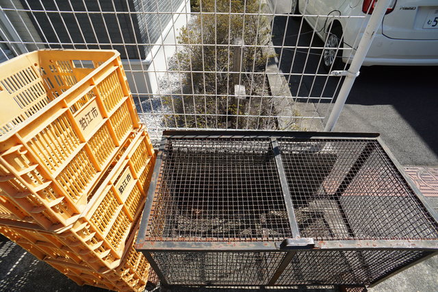 ボナール_その他_3