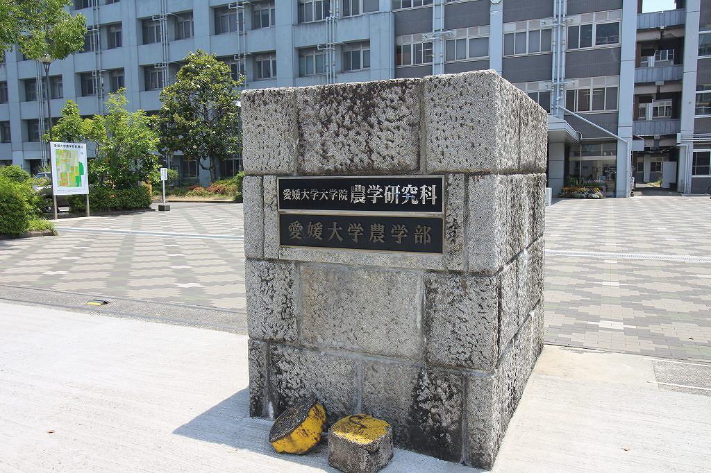 その他　伊予銀行 道後支店（その他）まで1100m