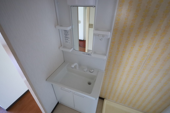 洗面設備　※別号室の写真です