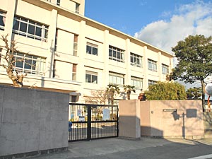小学校　和歌山市立木本小学校（小学校）まで899m
