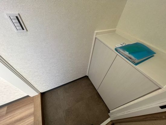 玄関　（別タイプ参考写真）コスモプラザHINO　北区東十条４