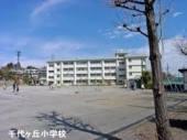 小学校　川崎市立千代ヶ丘小学校（小学校）まで299m