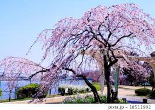 その他　瑞ケ池公園（その他）まで936m