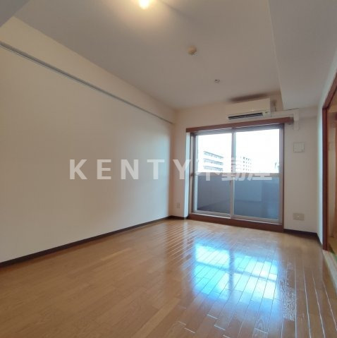 居室・リビング　ゆったりとした居間です