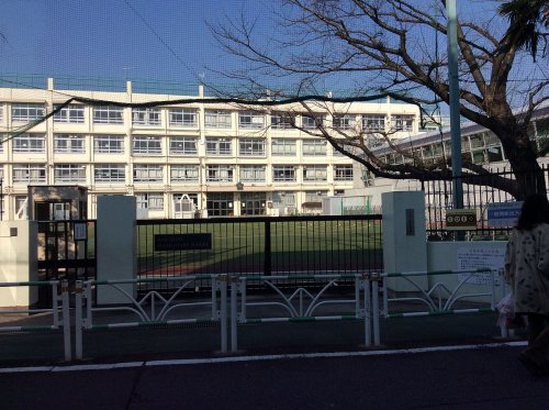 小学校　中幡小学校（小学校）まで1155m