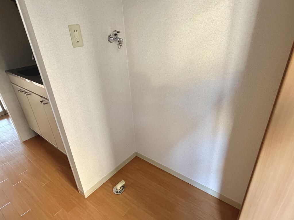 洗面設備　室内洗濯機置き場