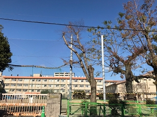 小学校　鹿児島市立荒田小学校（小学校）まで314m