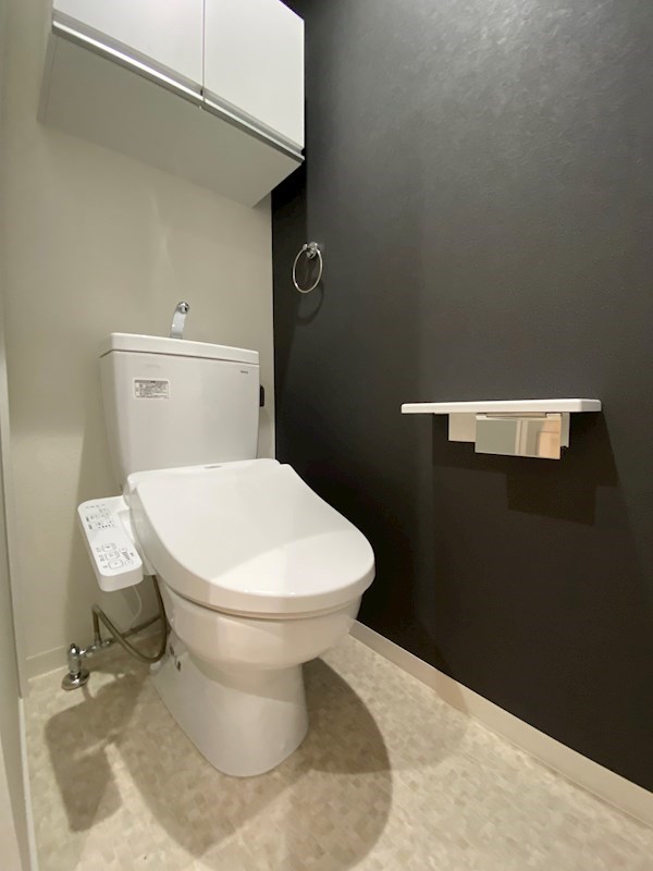 エヌエムサンカンテキャトフD棟のトイレ写真