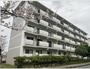 新多聞第三新多聞住宅 2階 築50年8ヶ月の賃貸物件